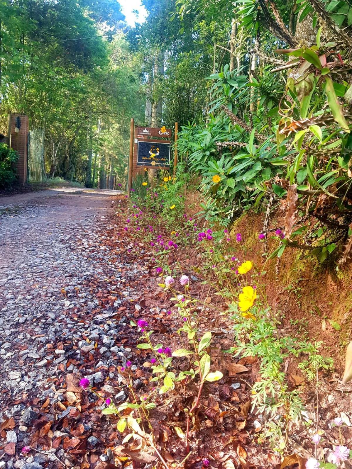 Hotel Sitio da Terra e Arte São Roque Exterior foto