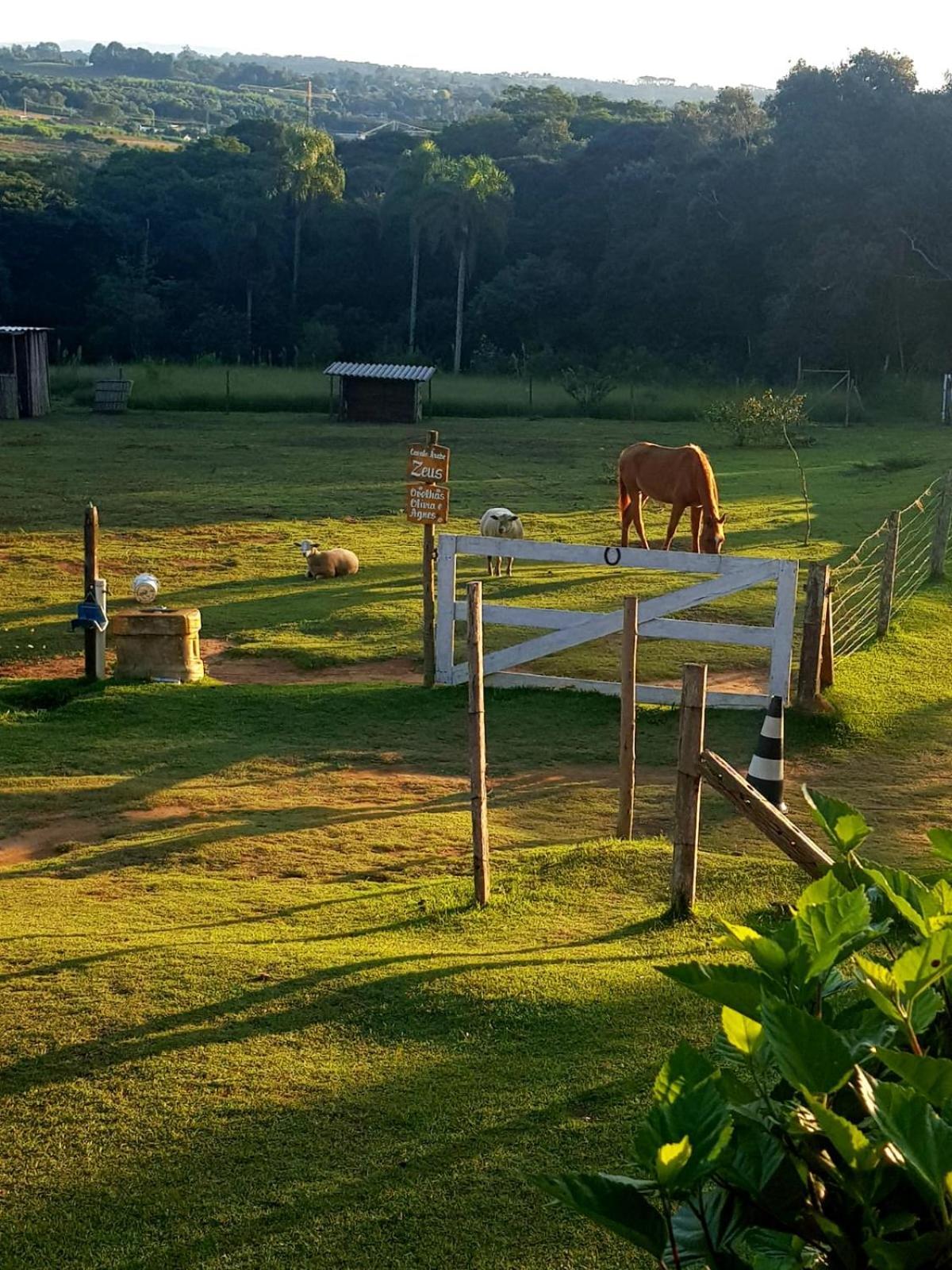 Hotel Sitio da Terra e Arte São Roque Exterior foto